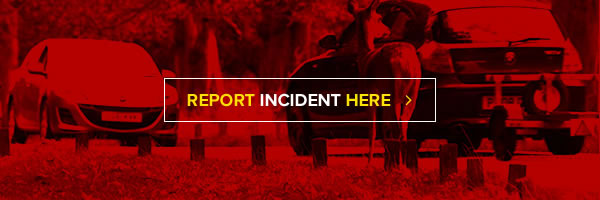 Report Incident Here